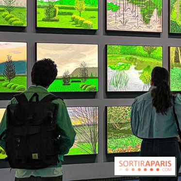 David Hockney : la plus grande exposition retrospective de l'artiste à la Fondation Louis Vuitton - IMG 8627 jpg