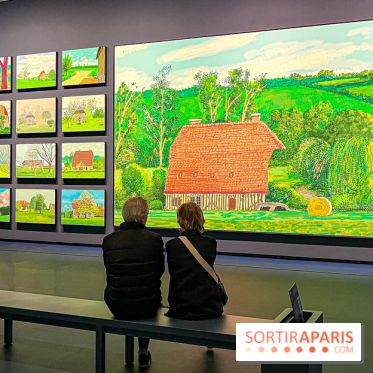 David Hockney : la plus grande exposition retrospective de l'artiste à la Fondation Louis Vuitton - IMG 8652 jpg