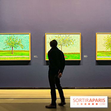 David Hockney : la plus grande exposition retrospective de l'artiste à la Fondation Louis Vuitton - IMG 8678 jpg