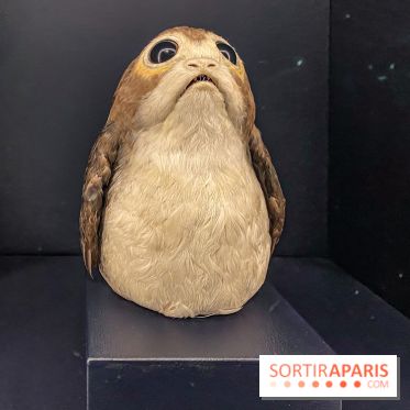 Disney100 : l'exposition des 100 ans de Disney à Paris Expo Porte de Versailles - IMG 4319