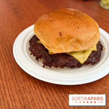 Dumbo - Smash burger