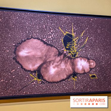 Exposition Georges Mathieu à la Monnaie de Paris - IMG 4530