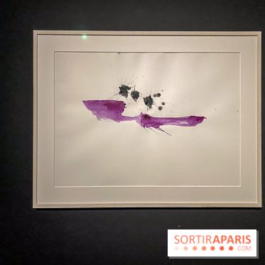 Exposition Georges Mathieu à la Monnaie de Paris - IMG 4586