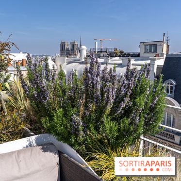 Rooftop de Dame des Arts, la terrasse panoramique sur les toits de Paris - photos  - A7C06279
