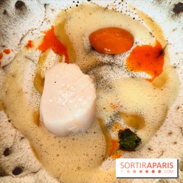 Le Pergolèse - Saint-Jacques au naturel