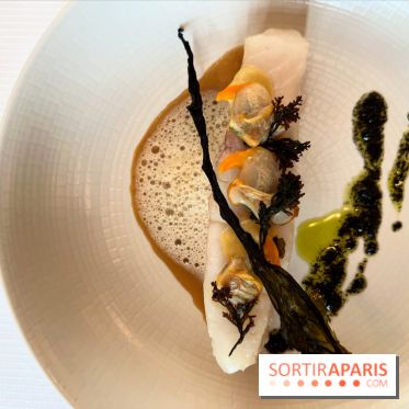 Le Pergolèse - Lieu jaune, coquillages