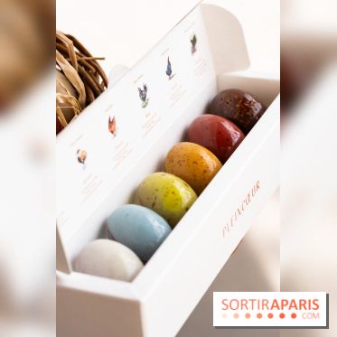 Les chocolats de Pâques 2025 de Pleincœur par Maxime Frédéric et family