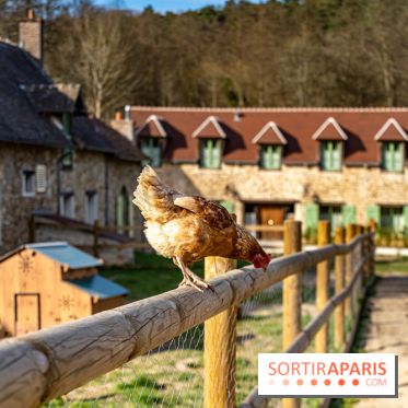 La Ferme de l’Abbaye des Vaux de Cernay : l'hôtel de charme en pleine nature dans les Yvelines - photos