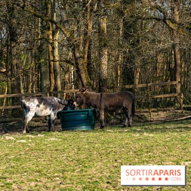 La Ferme de l’Abbaye des Vaux de Cernay : l'hôtel de charme en pleine nature dans les Yvelines - photos