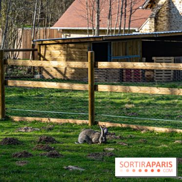 La Ferme de l’Abbaye des Vaux de Cernay : l'hôtel de charme en pleine nature dans les Yvelines - photos