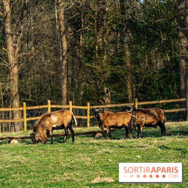 La Ferme de l’Abbaye des Vaux de Cernay : l'hôtel de charme en pleine nature dans les Yvelines - photos