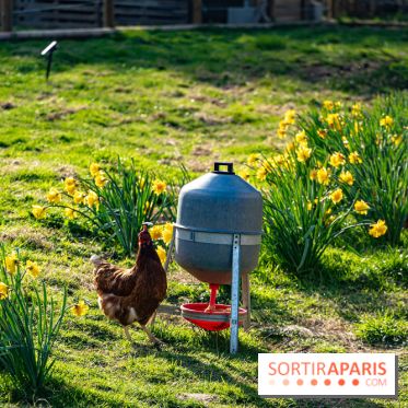 La Ferme de l’Abbaye des Vaux de Cernay : l'hôtel de charme en pleine nature dans les Yvelines - photos