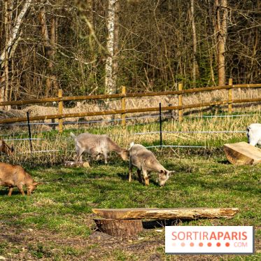 La Ferme de l’Abbaye des Vaux de Cernay : l'hôtel de charme en pleine nature dans les Yvelines - photos