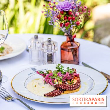 Terrasse de l'Hôtel Particulier, le jardin verdoyant au cœur de Montmartre - photo