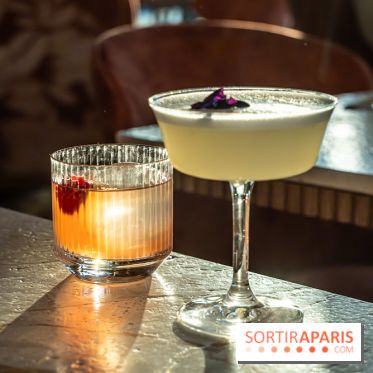 Kinugawa Rive Gauche à Paris, le restaurant en rooftop de l'Hôtel Sax - photos