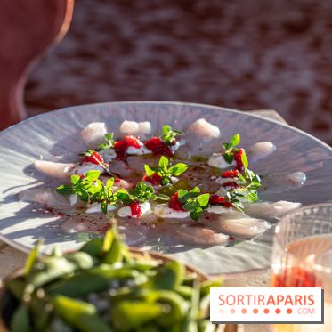 Kinugawa Rive Gauche à Paris, le restaurant en rooftop de l'Hôtel Sax - photos