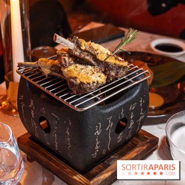Kinugawa Rive Gauche à Paris, le restaurant en rooftop de l'Hôtel Sax - photos