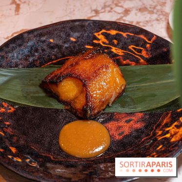 Kinugawa Rive Gauche à Paris, le restaurant en rooftop de l'Hôtel Sax - photos