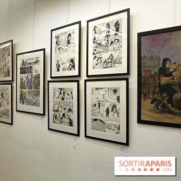 Rétrospective Grzegorz Rosinski, nos photos de l'expo gratuite à Paris - Expo Thorgal 3