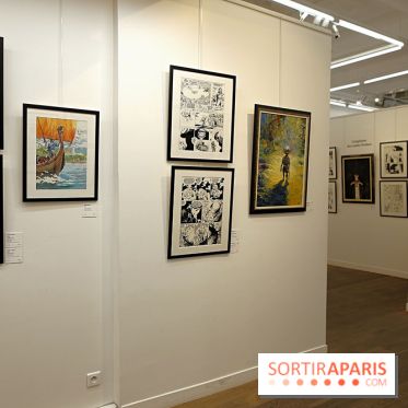 Rétrospective Grzegorz Rosinski, nos photos de l'expo gratuite à Paris - Expo Thorgal 4 fotor 2025042512555