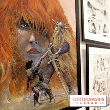 Rétrospective Grzegorz Rosinski, nos photos de l'expo gratuite à Paris - Expo Thorgal 12 fotor 2025042512352