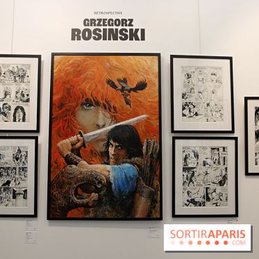 Rétrospective Grzegorz Rosinski, nos photos de l'expo gratuite à Paris - Expo Thorgal 16
