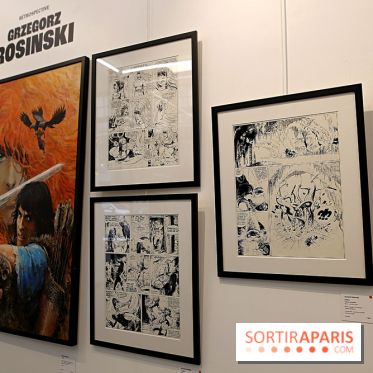 Rétrospective Grzegorz Rosinski, nos photos de l'expo gratuite à Paris - Expo Thorgal 17 fotor 20250425115651