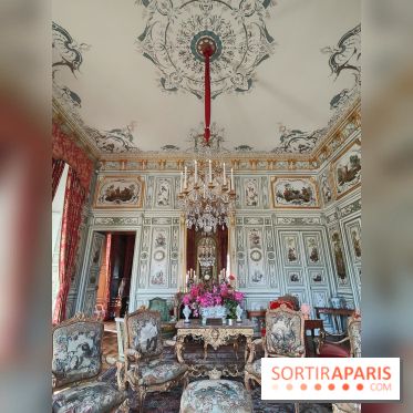 Château de Champs-sur-Marne, visuels - fotor 1745649435156