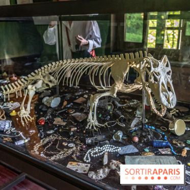 Le parcours d'art contemporain du Hangar Y se renouvelle  - A7C07322