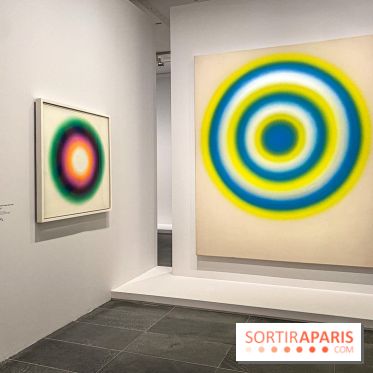 Dans le Flou, l'exposition dans le brouillard au Musée de l'Orangerie - IMG 5299