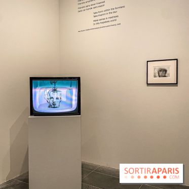 Dans le Flou, l'exposition dans le brouillard au Musée de l'Orangerie - IMG 5306