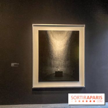 Dans le Flou, l'exposition dans le brouillard au Musée de l'Orangerie - IMG 5312