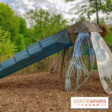 Mission Forêt - IMG 2144