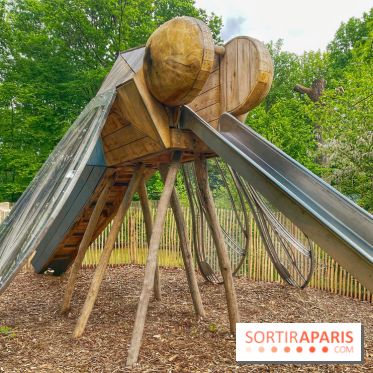 Mission Forêt - IMG 2145