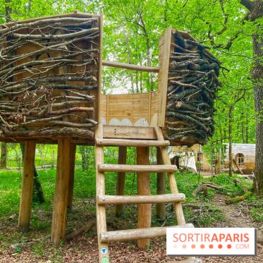 Mission Forêt
