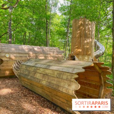 Mission Forêt