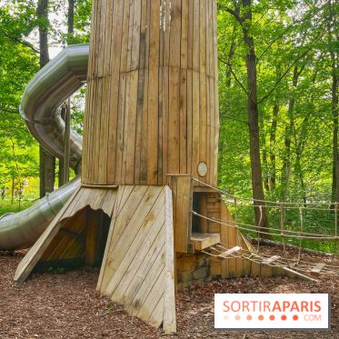 Mission Forêt - IMG 2155