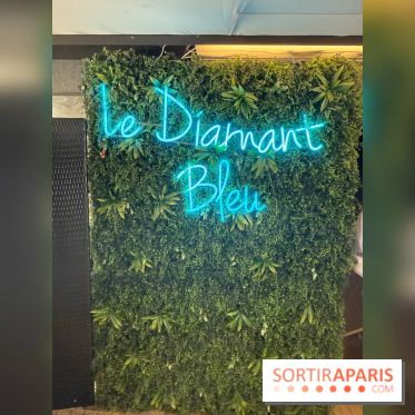 Brunch croisière à volonté sur la Seine – Le Diamant Bleu Paris