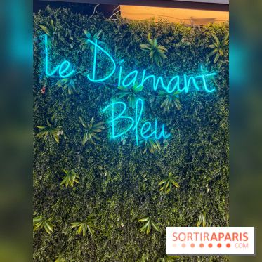 Brunch croisière à volonté sur la Seine – Le Diamant Bleu Paris