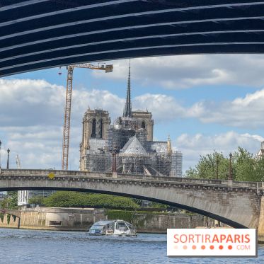 Brunch croisière à volonté sur la Seine – Le Diamant Bleu Paris