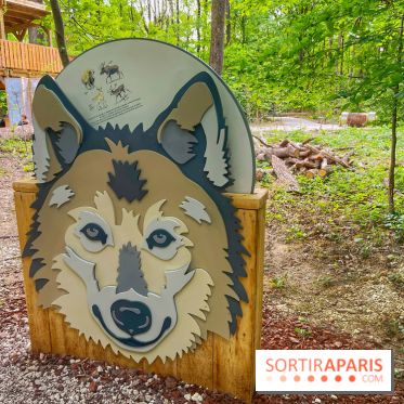 La Forêt des Loups - IMG 2086