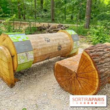 La Forêt des Loups