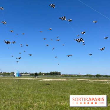 Festival de Cerfs-Volants à la Base 217 - IMG 2189