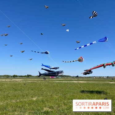 Festival de Cerfs-Volants à la Base 217 - IMG 2190