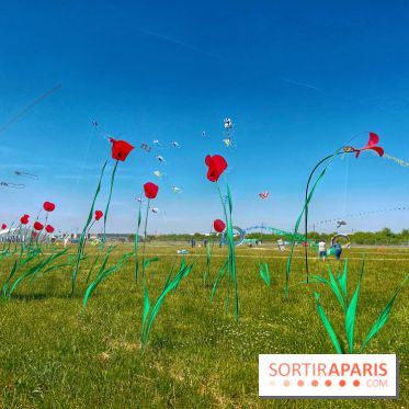Festival de Cerfs-Volants à la Base 217 - IMG 2192
