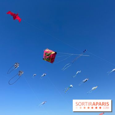 Festival de Cerfs-Volants à la Base 217 - IMG 2196