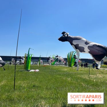 Festival de Cerfs-Volants à la Base 217 - IMG 2197