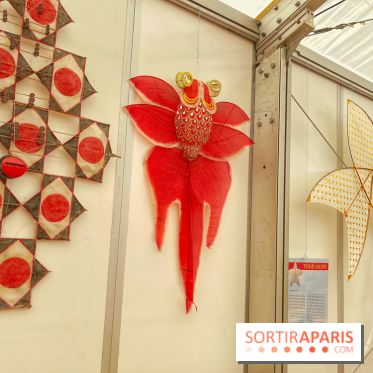 Festival de Cerfs-Volants à la Base 217 - IMG 2198