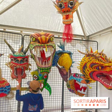 Festival de Cerfs-Volants à la Base 217 - IMG 2205