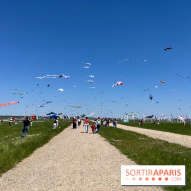 Festival de Cerfs-Volants à la Base 217 - IMG 2207